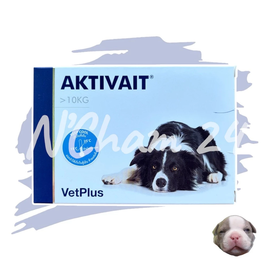 AKTIVAIT Medium & Large Breed( วิตามินบำรุงสมองและระบบประสาท สำหรับสุนัข บรรจุ 60 แคปซูล