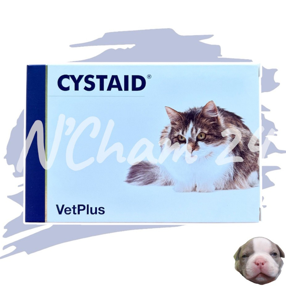 CYSTAID Plus (Exp.08/2027) บรรจุ 30 แคปซูล ซิสเตท พลัส อาหารเสริมโปรตีนสำหรับแมวอายุ 6 เดือนขึ้นไป