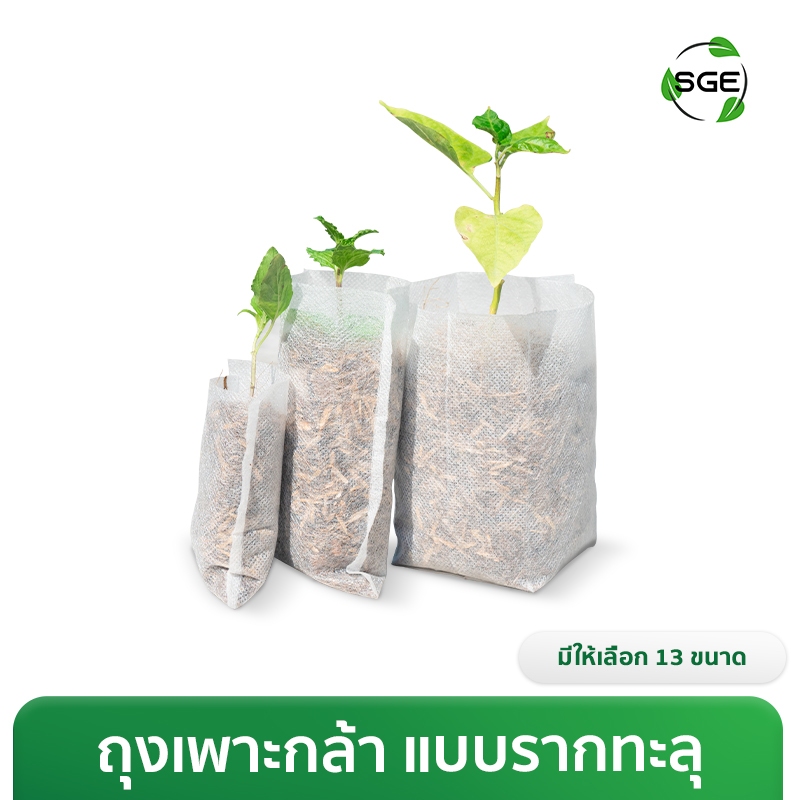 SGE ถุงเพาะกล้า วัสดุปันบอนด์ รากทะลุได้ ย่อยสลายง่าย มีหลายขนาดให้เลือก เหมาะครัวเรือนและเกษตรกร