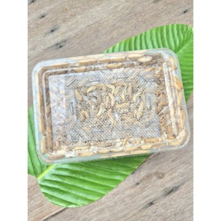 ขนมโปรตีนอย่างดีมากที่สุด