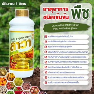 ปุ๋ยน้ำ ลาวา 1 ลิตร เข้มข้น เร่งโต เร่งผลผลิต สำหรับสวนมืออาชีพ ไม้ผลและทุเรียน พืช อ้อย