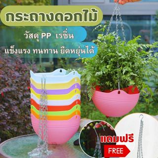 ส่งด่วน(จากไทย) กระถางแขวน กระถางแขวนพร้อมลวดแขวน กระถางแขวน…