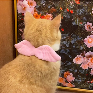 PP-1936  ปลอกคอ ปีกนางฟ้า กระดิ่งสี ไซต์เล็ก หมาแมว น่ารัก ใ…