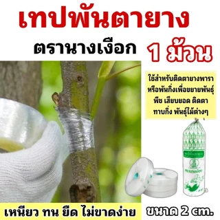 เทปพันตายาง ตรานางเงือก ใช้สำหรับติดตายางพารา เหนียว ทน ไม่ขาดง่าย ขนาด 2 cm. (จำนวน 1 ม้วน/5 ม้วน)