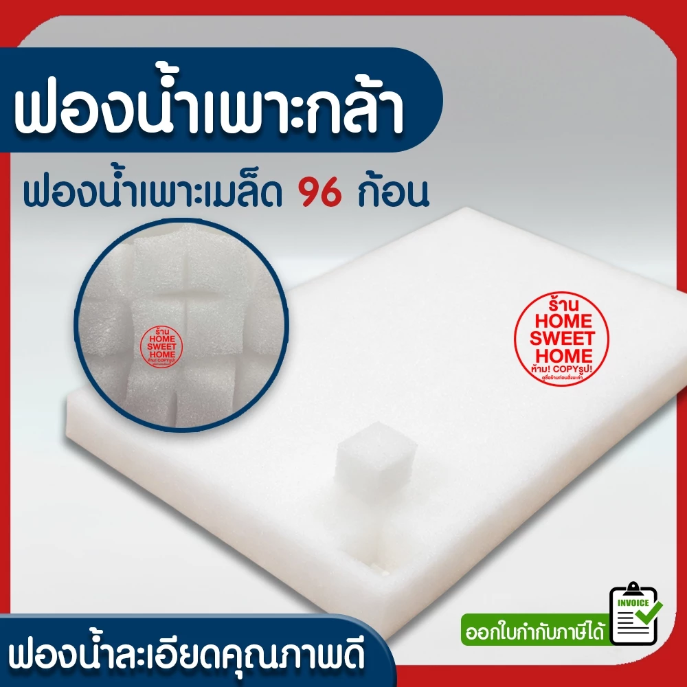 *โค้ดส่งฟรี* ฟองน้ำเพาะกล้า ฟองน้ำเพาะเมล็ด ฟองน้ำปลูกผัก ปลูกผักไฮโดรโปนิกส์ ปลูกผัก ไฮโดร ไฮโดรโปนิกส์ เนื้อละเอียด