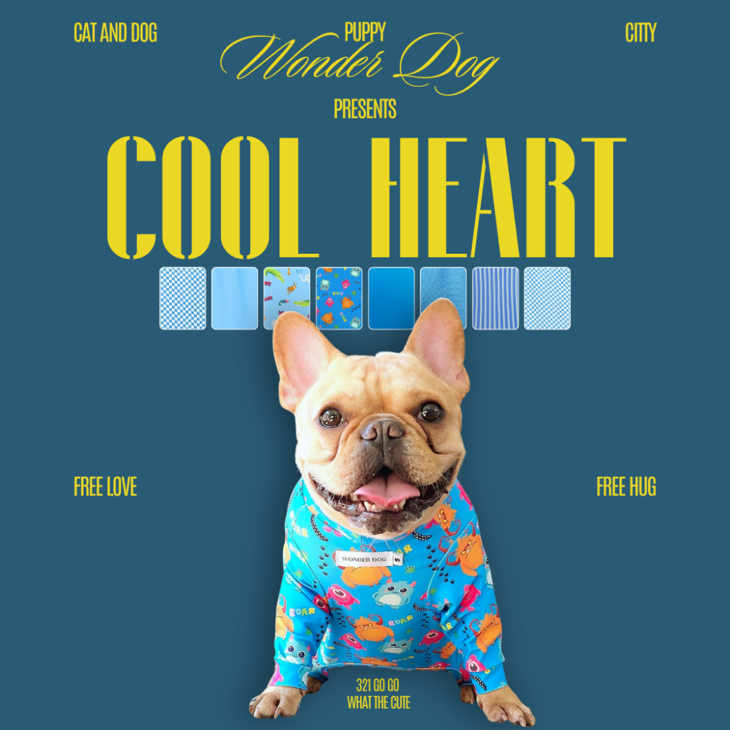 ชุดเก็บขน wonder dog เสื้อสุนัข เสื้อแมว ชุดกันขนร่วงสุนัข ชุดสัตว์เลี้ยง โทนฟ้า