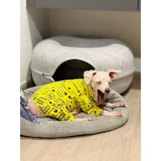 ชุดเก็บขน wonder dog เสื้อสุนัข เสื้อแมว ชุดกันขนร่วงสุนัข ชุดสัตว์เลี้ยง โทนส้มเหลือง ตารางไซส์เลื่อนขวานะคะ
