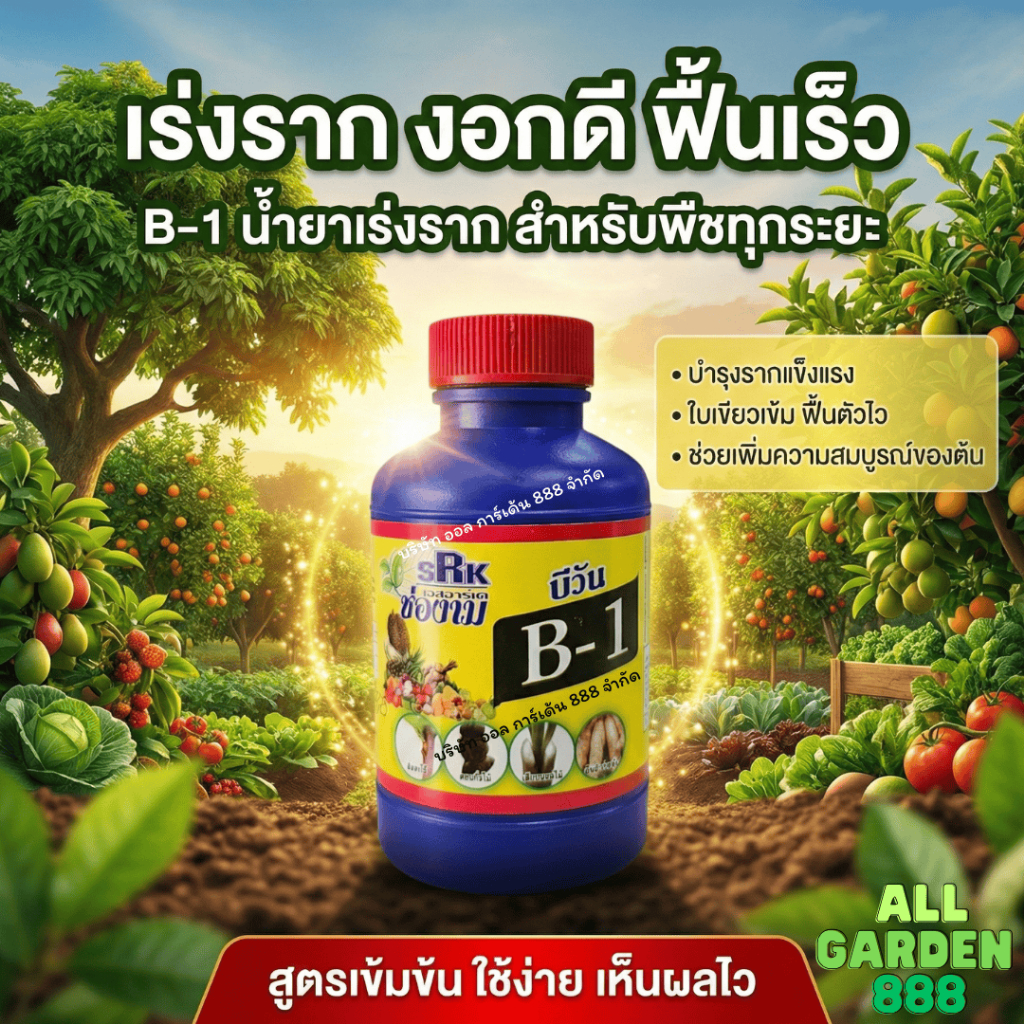 B-1 บีวัน ยาเร่งราก วินตามินบี วิตามิน B1 ฮอร์โมนเร่งราก เกรดเข้มข้นพิเศษ