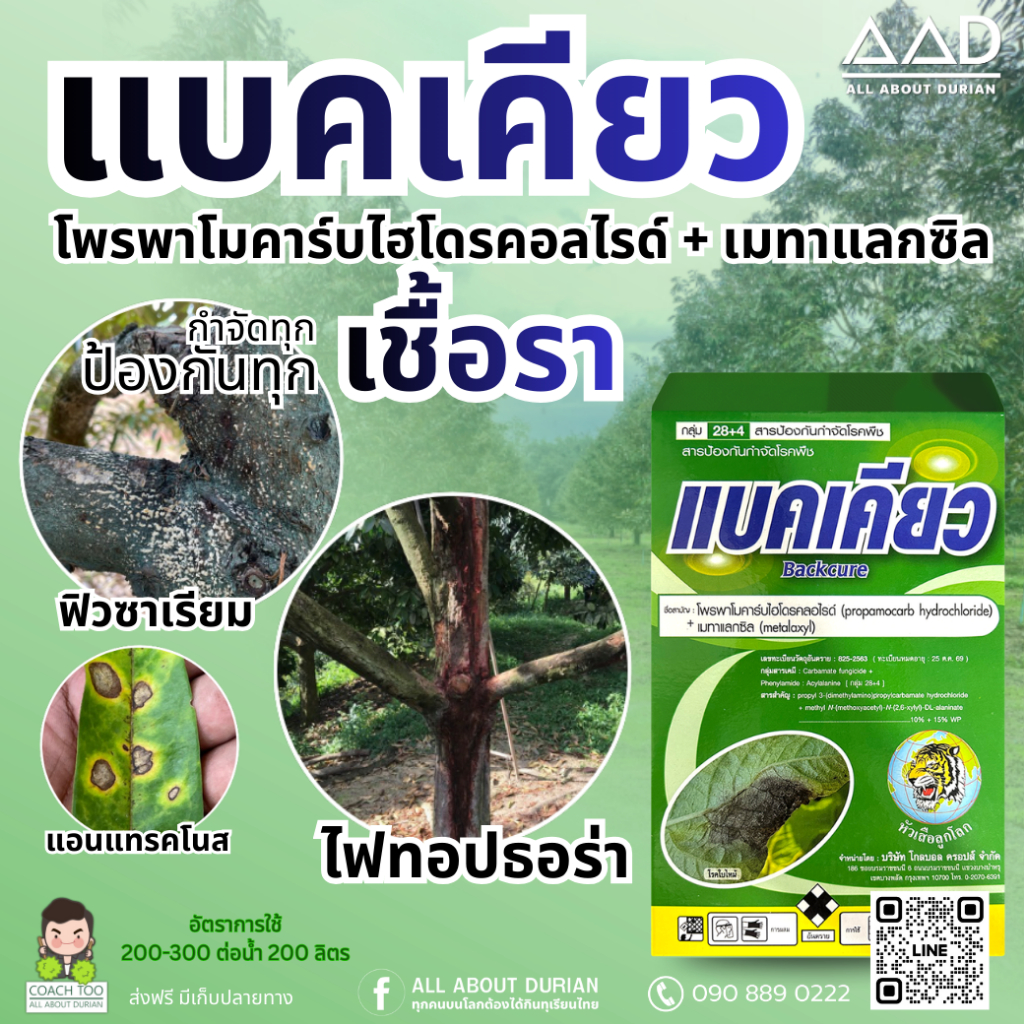 🌱แบคเคียว1กิโลกรัม  (โพรพาโมคาร์ปไฮโดคลอไรด์+เมทาแลคซิล) แก้ปัญหารักษาเชื้อรา โรคเน่าคอดิน รากเน่า