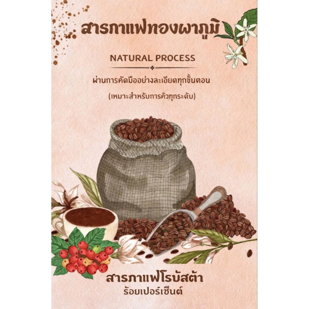 👉 สารกาแฟ  Coffee Green Bean Robusta สารกาแฟใหม่ปีล่าสุด ปลูกแบบธรรมชาติ ไม่ใช้สารเคมี