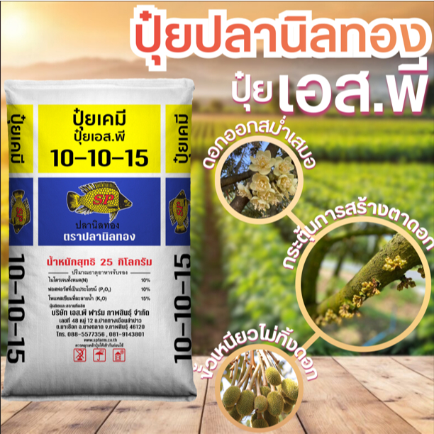 ปุ๋ยปลานิลทองสูตร 10-10-15 บำรุงต้น สะสมอาหาร บำรุงดอก ขยายผลเพิ่มน้ำหนัก