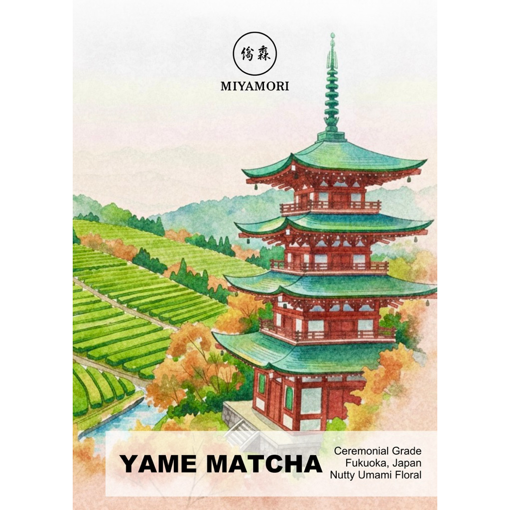 มัทฉะ โทนถั่ว MIYAMORI Yame Matcha Ceremonial Grade มัทฉะเกรดพิธีการ