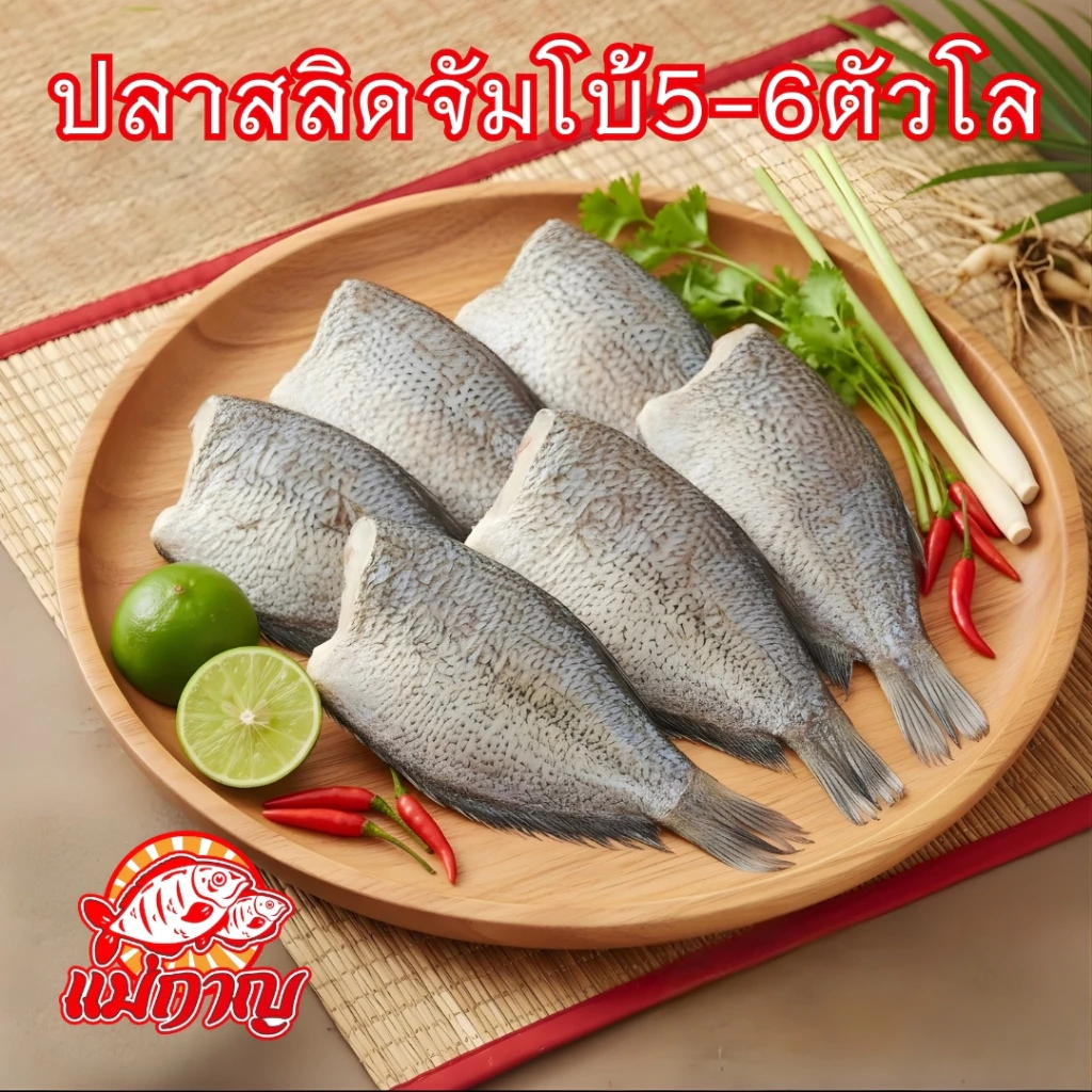 ปลาสลิดไซส์จัมโบ้ (ไม่ไข่) 1 กก. ได้ถึง 5-6 ตัว แม่กาญปลาสลิด