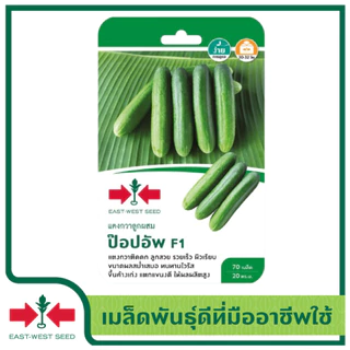 ศรแดง เมล็ดพันธุ์แตงกวาลูกผสม ป๊อปอัพ F1 (เมล็ดเคลือบ) (East-West Seed) เมล็ดพันธุ์ ผักสวนครัว ตราศรแดง