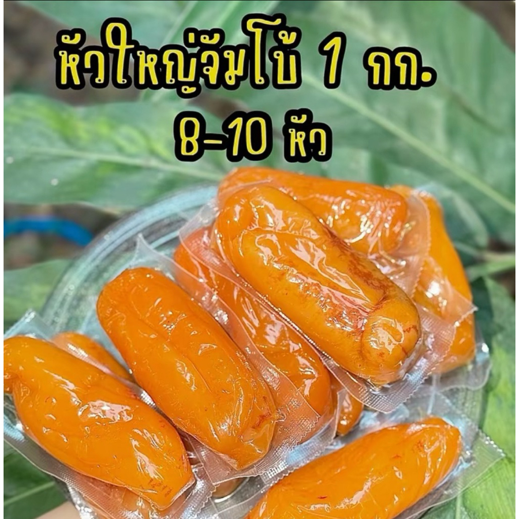 มันหนึบญี่ปุ่น  1000 กรัม  มันหัวใหญ่ไซร์จัมโบ้ ร้านมันโคตรหนึบ มัน หนึบ ญี่ปุ่น พันธุ์ เบนิฮารุกะ