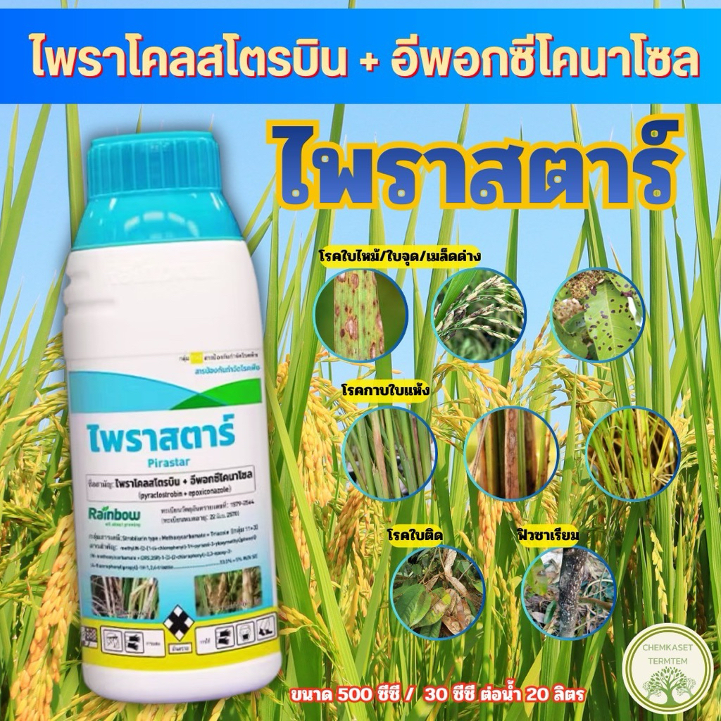 ไพราสตาร์ ชื่อสามัญ ไพราโคลสโตรบิน + อีพอกซีโคนาโซล 13.3% + 5% ใช้ป้องกันกำจัดโรคกาบใบแห้ง