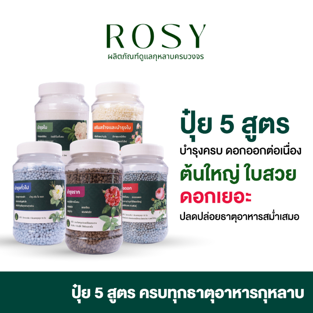 ปุ๋ยกุหลาบ บำรุงกุหลาบครบทุกส่วนของต้น ใช้ครบ5สูตรกุหลาบได้รับสารอาหารครบถ้วน