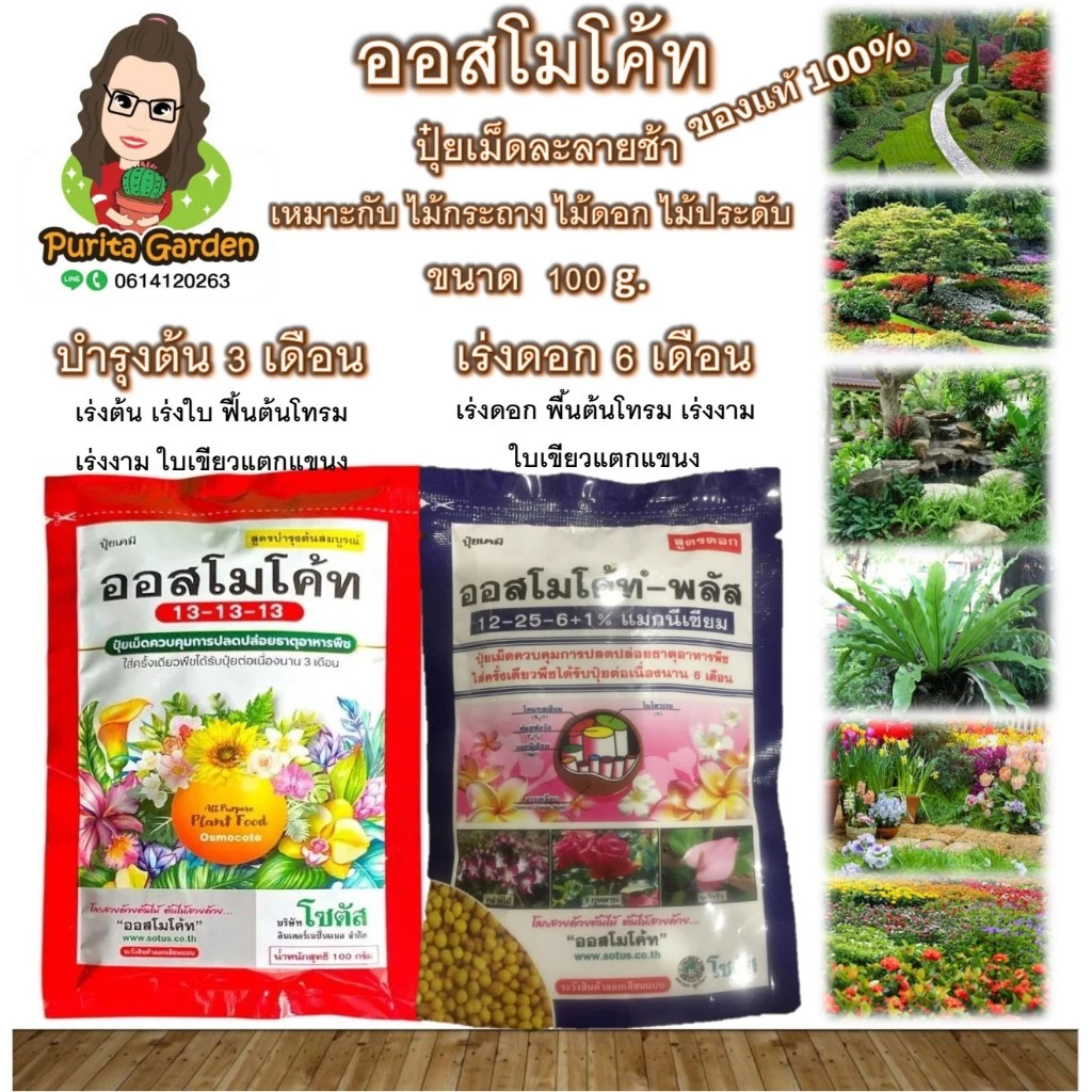 ปุ๋ยเม็ดออสโมโค้ท บำรุงต้น & เร่งดอก สูตร ละลายช้า ขนาด 100 กรัม สินค้าตามปก บรรจุหีบห่อจากโรงงาน