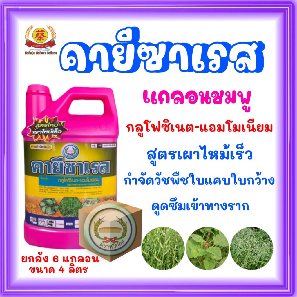 คายีซาเรส *แกลอนชมพู* สูตรเผาไหม้ไว **ยกลัง 6แกลอน**