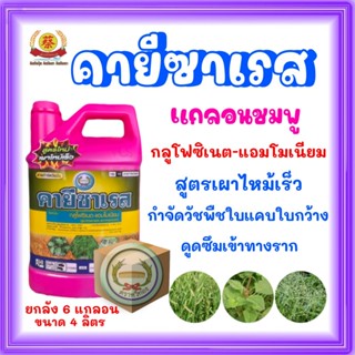 คายีซาเรส *แกลอนชมพู* สูตรเผาไหม้ไว **ยกลัง 6แกลอน**