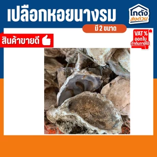 เปลือกหอยนางรมขนาด 500 g./1 kg.ใส่ถุงตาข่ายแดง เปลือกหอยกรองน้ำ