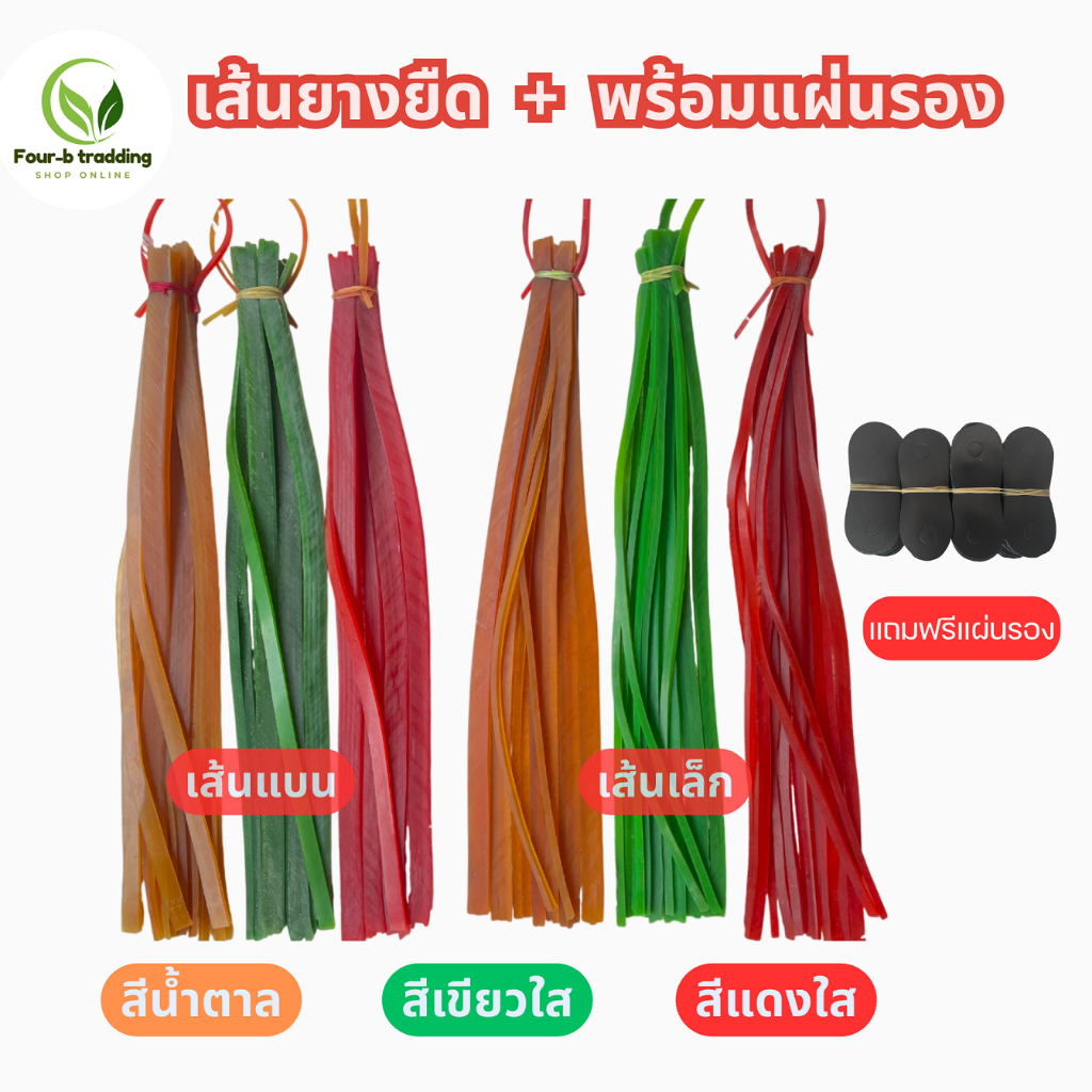 ยางยืด ยางอเนกประสงค์แถมฟรีแผ่นรอง ( 1 เส้น 10 เส้น  )