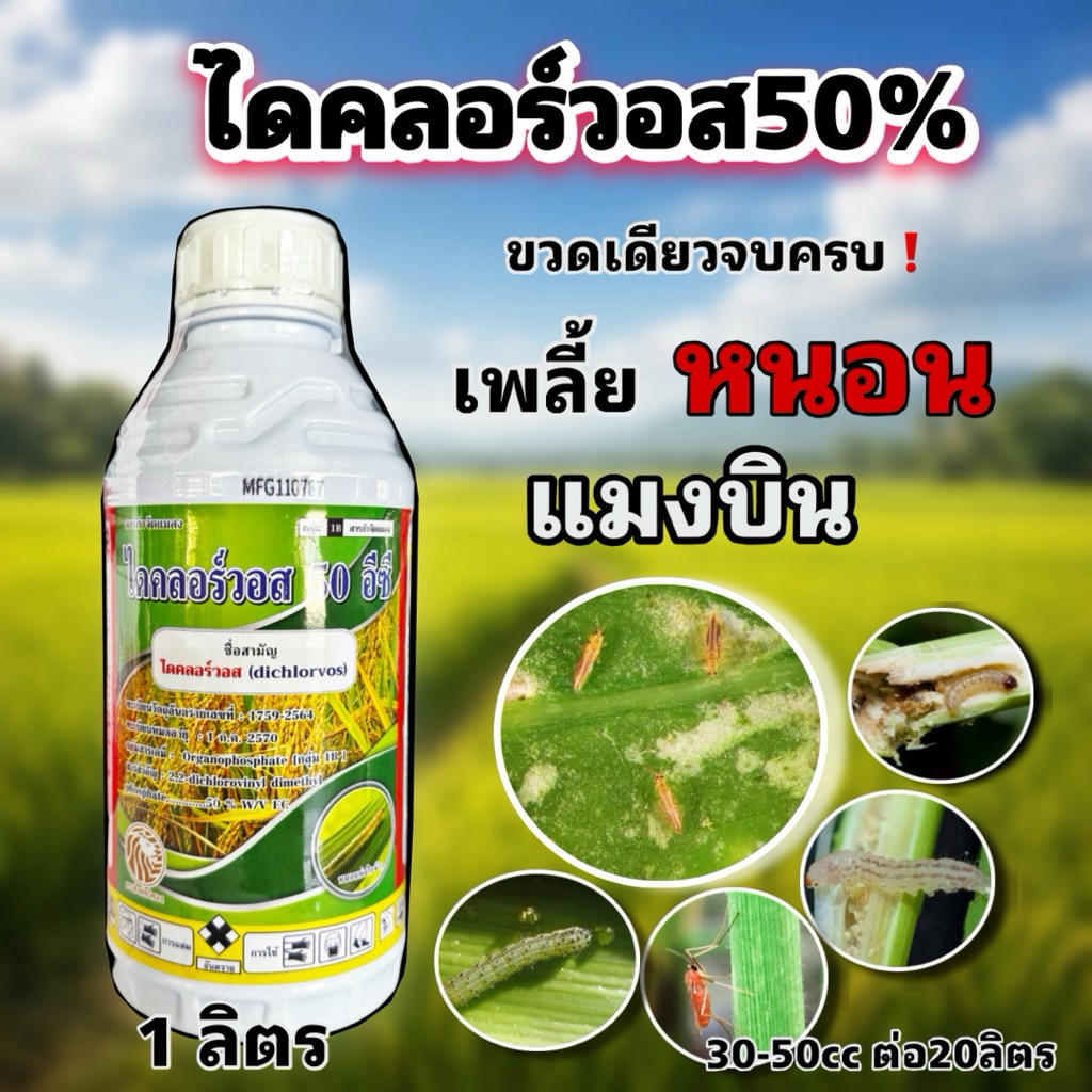 ไดคลอร์วอส50%ec กำจัดหนอน กำจัดเพลี้ย กำจัดแมงดำหนาม หนอนกอ เพลี้ยไฟ บั่ว เพลี้ยอ่อน ยุง ปลวก สัมผัสไอระเหยออกฤทธิ์3ทาง
