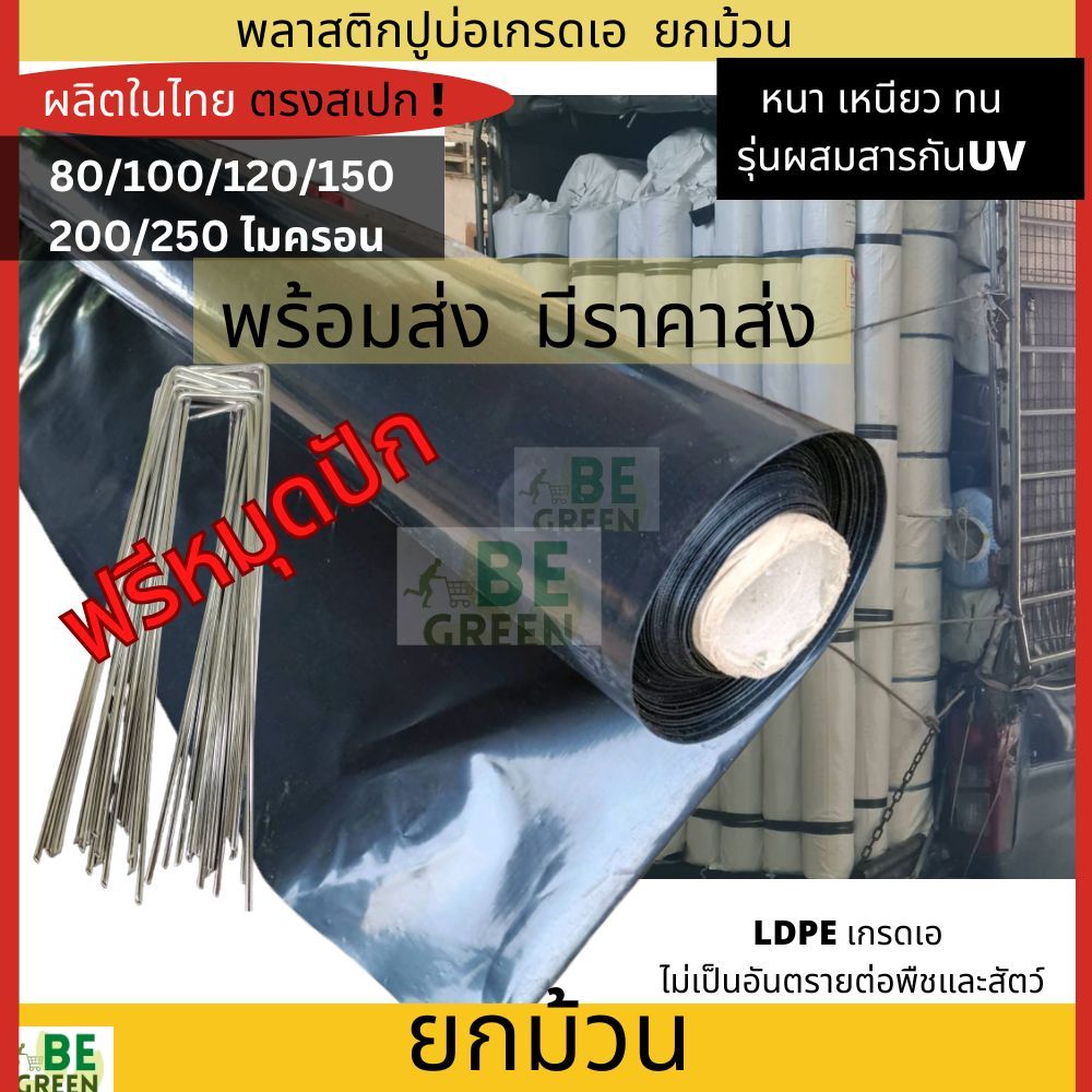 ผ้ายางปูบ่อ 🚩ยกม้วน36ม. คลองไส้ไก่ 150 200 250ไมครอน ผ้าใบปูบ่อ พลาสติกปูบ่อ เลี้ยงปลา บ่อน้ำ มีUV