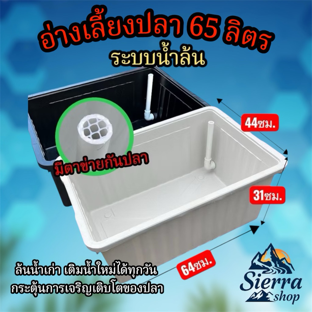 อ่างเลี้ยงปลา65ลิตร ระบบน้ำล้น / Overflow อ่างเลี้ยงปลาบอลลูน อ่างเลี้ยงปลาหางนกยูง