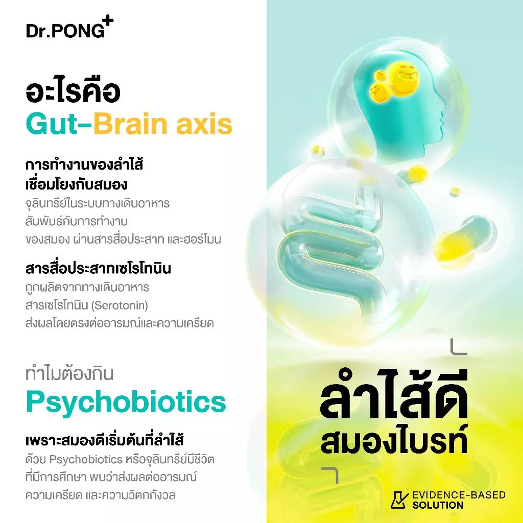 [ช้อปครบ รับฟรี!]  Dr.PONG Harmony Probiotic โพรไบโอติก กรอกปาก  จุลินทรีย์ดีบำรุงสมอง thumbnail 6