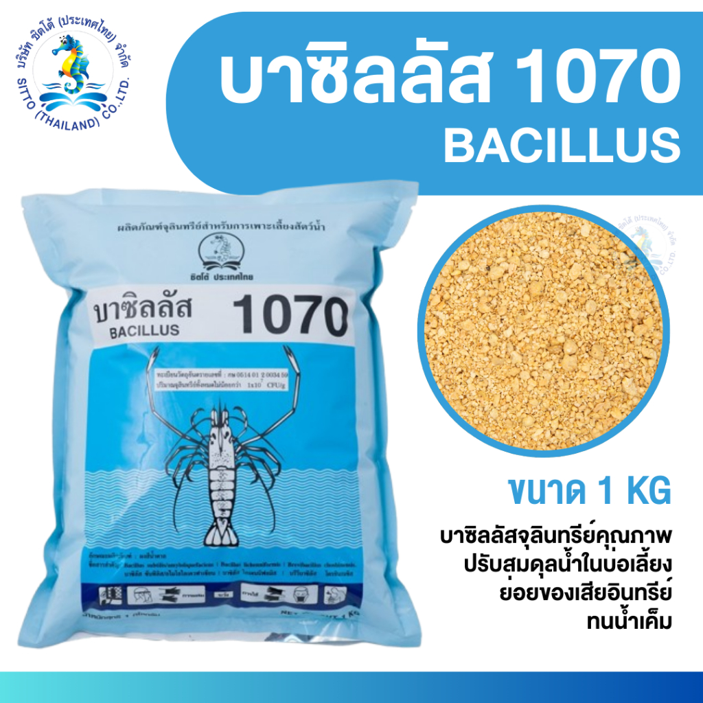 [SITTO] บาซิลลัส 1070 BACILLUS ซอง1กก. จุลินทรีย์คุณภาพ ปรับสมดุลน้ำในบ่อเลี้ยง ย่อยของเสียอินทรีย์ ทนน้ำเค็ม