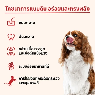 เคลลี่แอนด์โค บุชเชอร์คัต ขนมฟรีซดราย สำหรับสุนัข 55 กรัม