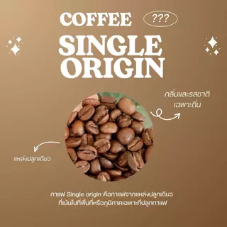 กาแฟปางขอนพรีเมี่ยม กาแฟอราบิก้า100% ขนาด 250 กรัม เมล็ดกาแฟคั่ว ดอยปางขอน เมล็ดเกรดA, Pangkhon Premium coffee