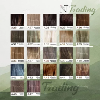 Berina Hair Color cream | เบอริน่า ครีมย้อมสีผม เบอร์ A1-A47 | 60 g