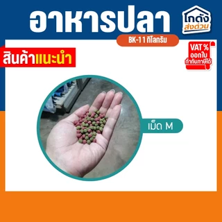 อาหารปลาคาร์พปลาสวยงาม BK-1 สูตรเร่งโตและเร่งสี 20 กิโลกรัม อาหารปลา 2 สี สำหรับปลาสวยงามทุกชนิด