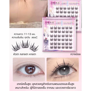 ขนตาปลอมมีกาวในตัว ไม่ต้องใช้กาวน้ำ ซีรีย์ baddie kitty ขนตาปลอมแบบช่อ เกาหลี