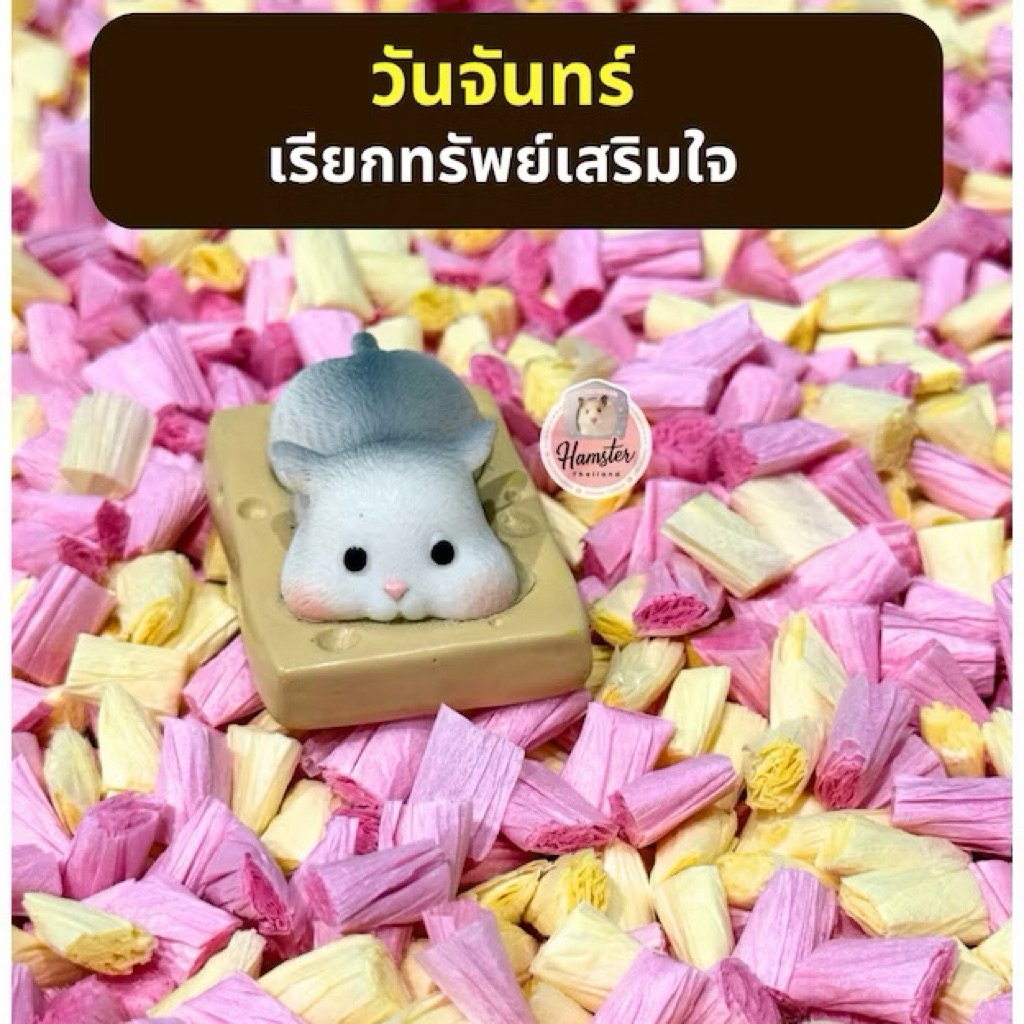 [Hamsterthailand]รองกรง Baofu เบาฟู ไม่มีฝุ่น นุ่มเท้า ไม่บาดผิว รองกรงกระดาษสำหรับแฮมเตอร์ เม่นแคระ รูปที่ 2