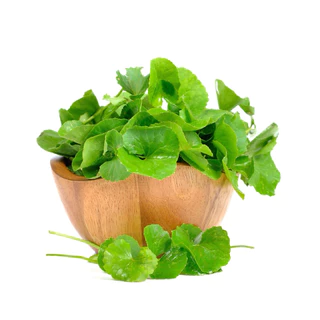 ผงใบบัวบก 100% (Gotu Kola Powder) ขนาด 100 กรัม ช่วยลดอาการฟกช้ำและบำรุงร่างกาย