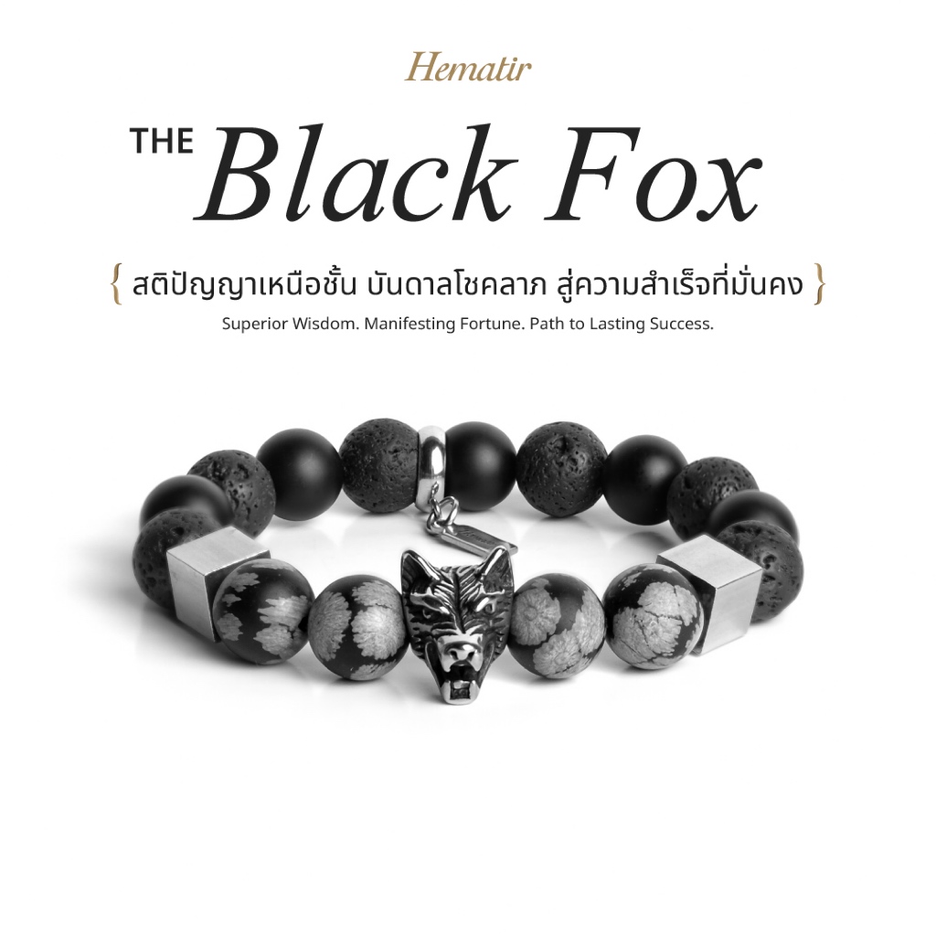 Hematir - กำไลหินมงคล “The Black Fox” สติปัญญาเหนือชั้น บัลดาลโชคลาภ