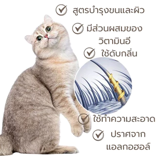 🥇กระดาษเช็ดทำความสะอาดแมวสุนัข ผ้าขนหนูเปียก 120 ตัวที่ใช้ในการเช็ดตาสัตว์เลี้ยงและหูผ้าขนหนูเปียกผ้าขนหนูกระดาษสุนัขผ้า