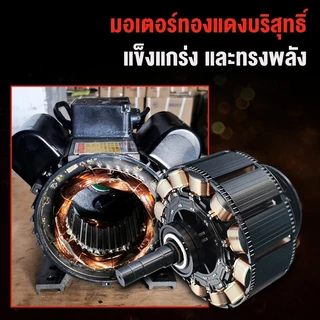 🔥รุ่นอัพเกรด🔥ครื่องบดหมู 3000W บดมันหมู กระเทียม บดหยาบ ละเอียด บดปลาร้า บดปลา เครื่องบดเบอร์32