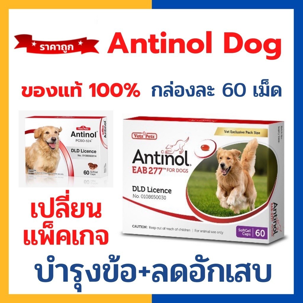 Antinol DOG ช่วยบำรุงข้อ กระดูก ขน ผิวหนัง และไต(1 กล่อง 60 caps) สำหรับสัตว์เลี้ยง Exp.08/2027