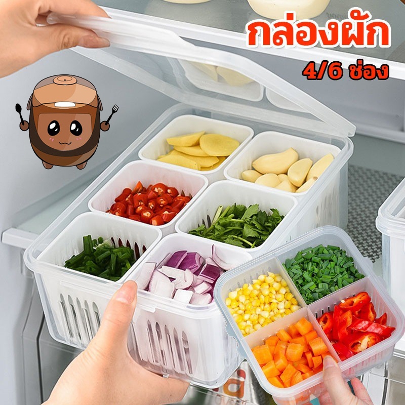 Homeware Store กล่องเก็บอาหาร 4/6 ช่อง ที่เก็บผัก สําหรับห้องครัว กล่องเก็บกระเทียมสด รักษาความสด กล่องถนอมอาหาร A4PV