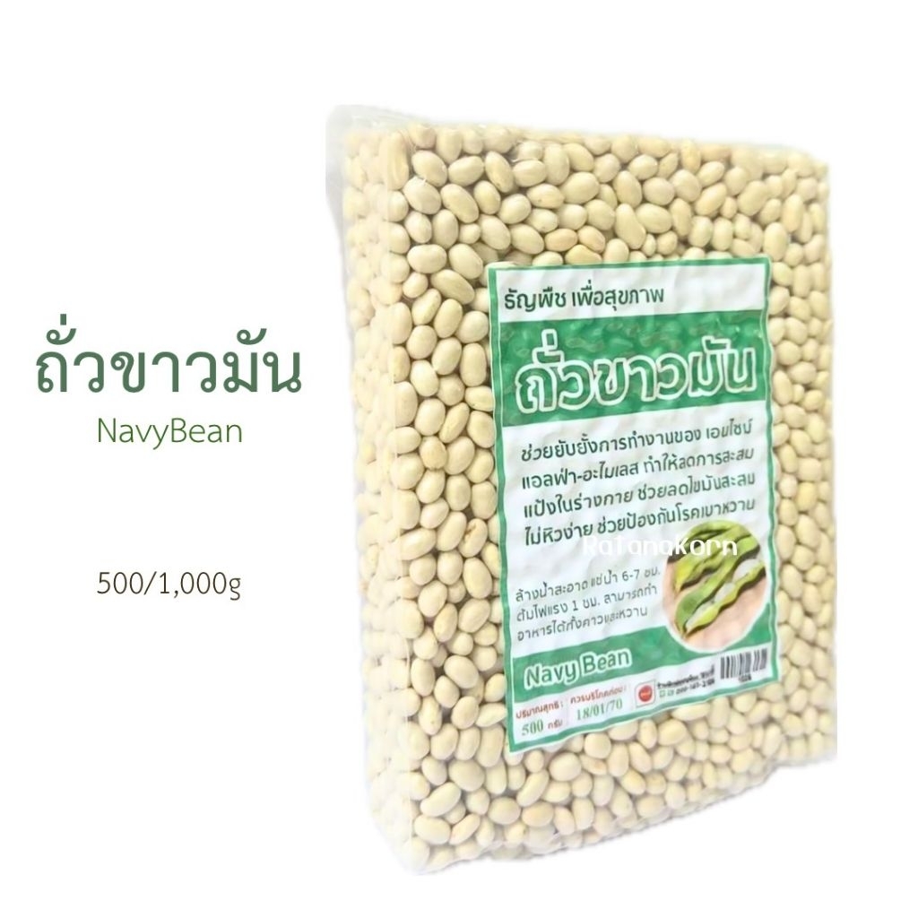 ถั่วขาวมัน Navy Bean ธัญพืชเพื่สุขภาพ