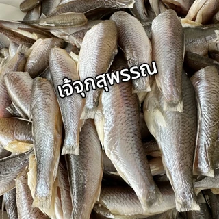 ปลาสร้อย แดดเดียว หาทานยากมีน้อยจ้า แพค 500 กรัม