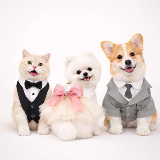 DoggyDolly ชุดสูท ทักซิโด้ เจ้าสาว แต่งงาน สุนัขและแมวขนาดเล็ก ชุดราตรีสัตว์เลี้ยง พรีเวดดิ้ง สวยหรู
