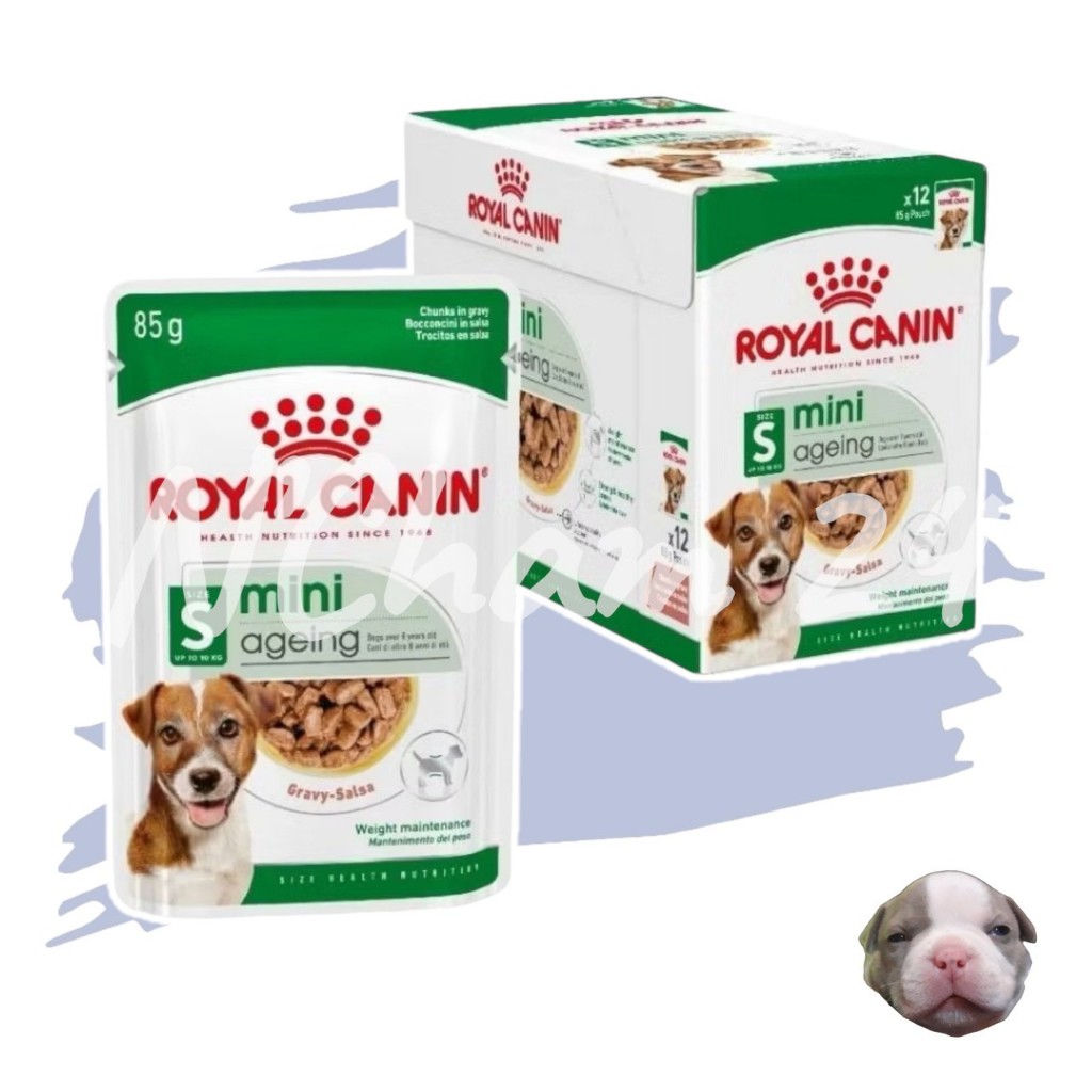 Royal Canin Mini Ageing 12+ บรรจุ 12 ซอง อาหารสุนัข อาหารเปียกในน้ำเกรวี่ สุนัขพันธุ์เล็ก 12 ปีขึ้น