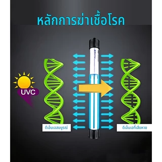 【สินค้าพร้อมสต็อกในประเทศไทย⚡จัดส่งเร็วภายใน 24 ชั่วโมง】UV หลอดยูวี ฆ่าเชื้อโรค กำจัดคราบไข่ ในตู้ปลา ปอมปา ขนาด3W/5W/7W