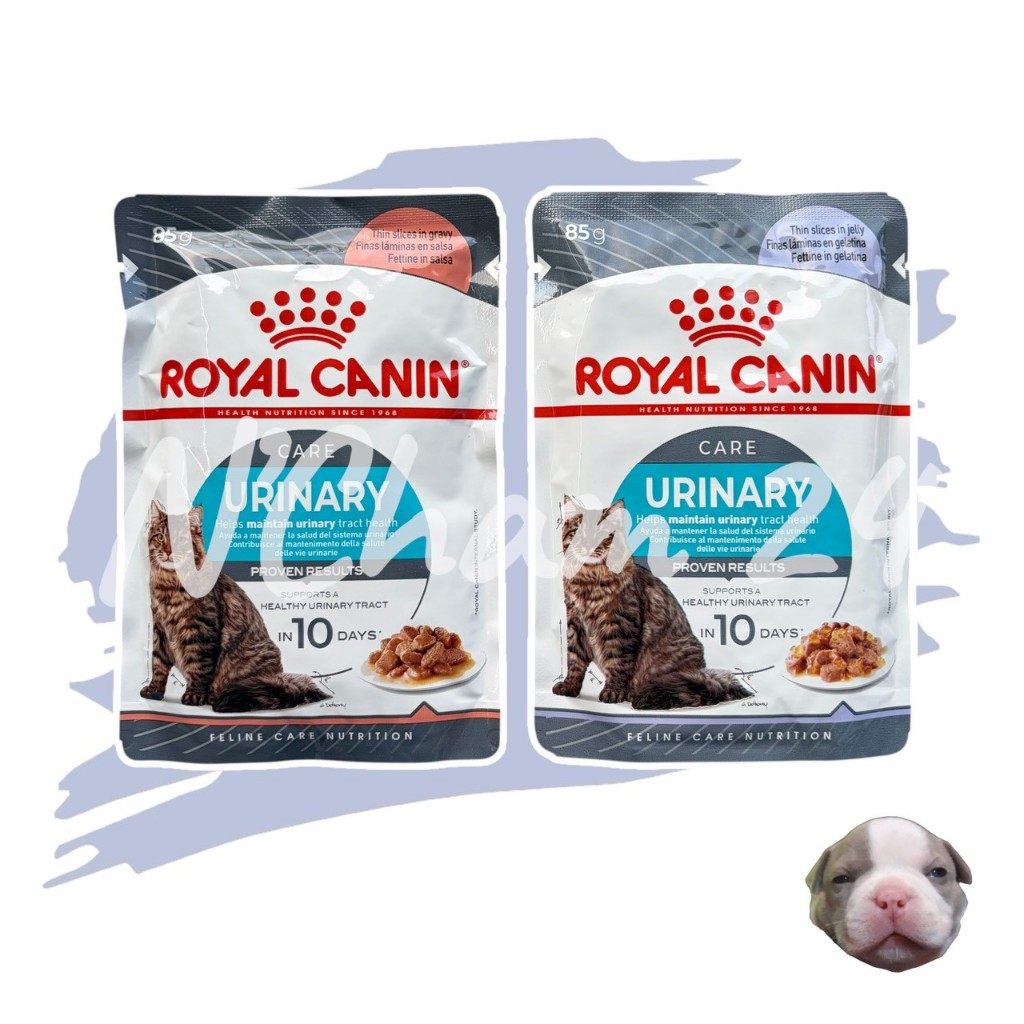 Royal Canin Urinary Care Pouch Gravy อาหารเปียกแมวโต ดูแลระบบทางเดินปัสสาวะ อายุ 12 เดือนขึ้นไป