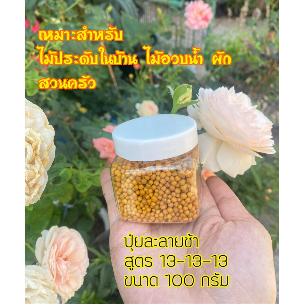 ปุ๋ยcactus‼️ฟรีตะกร้อปุ๋ย/ปุ๋ยแคคตัส/สูตร13-13-13บำรุงต้น-ใบ-ราก